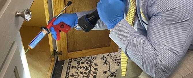 Spring Pest Prevention 2025: Your Complete Guide to Early-Season Protection in Northern New York