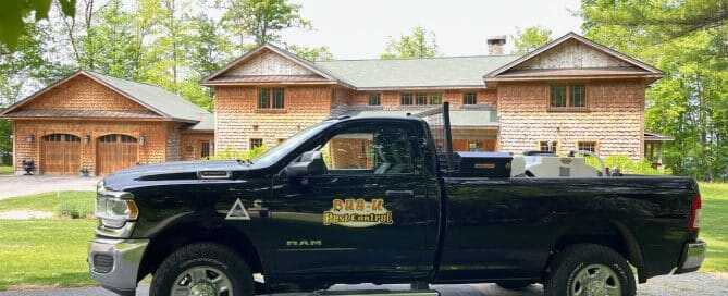 Professional vs DIY Pest Control: Why Experts Matter in Upstate NY & Vermont