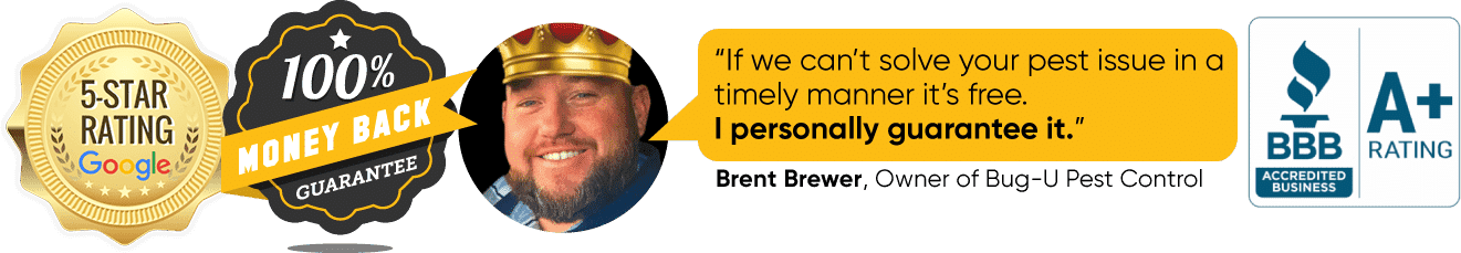 Bug-U-Pest-Control-Money-Back-Guarantee-section-IV_updated_2