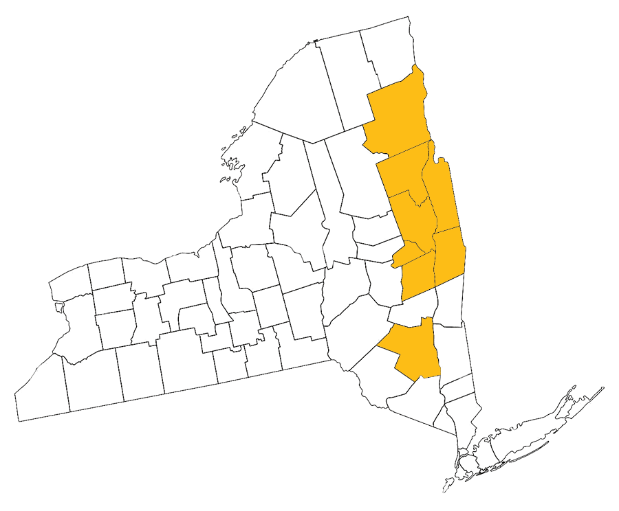 clean_map_new_york_updated