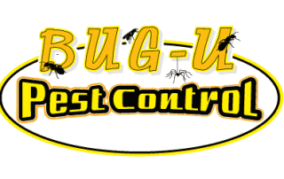 Why Professional Pest Control Makes the Difference: Expert Solutions in the Adirondacks Why Professional Pest Control Makes the Difference: Expert Solutions in the Adirondacks