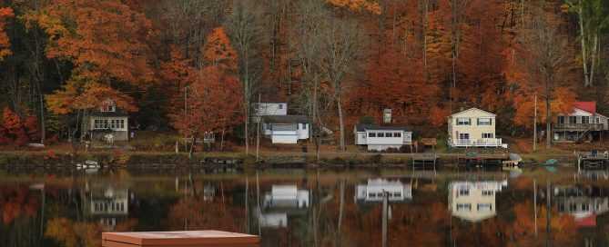 Pest Control in the Adirondacks region of Upstate New York