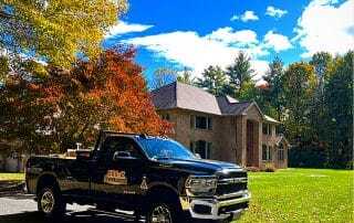 Professional Pest Control in Upstate, NY – Your Local Pest Control Expert Since 2008 Professional Pest Control in Upstate, NY – Your Local Pest Control Expert Since 2008